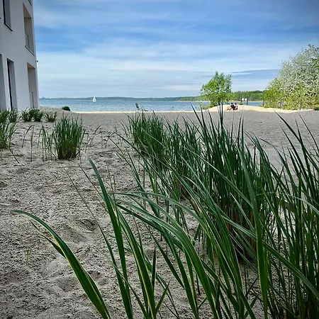 Horizon Park Lux